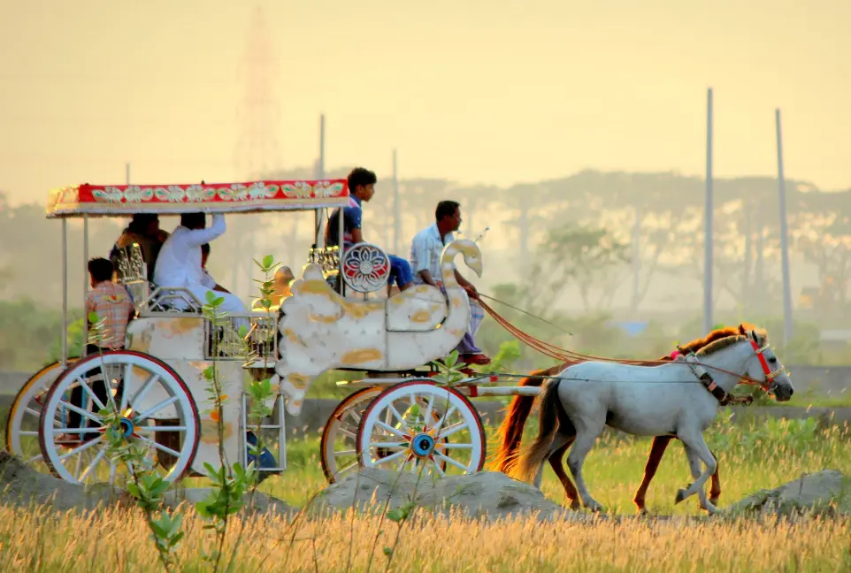 people riding on horse carriage during daytime